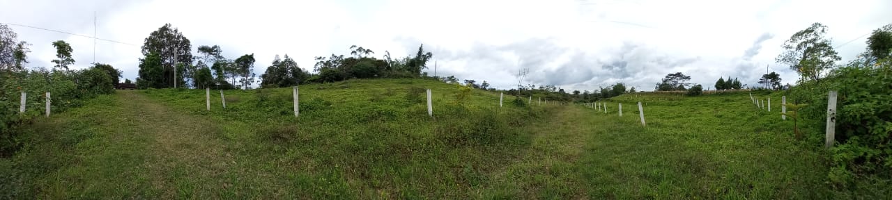 M_Land for sale_panorama